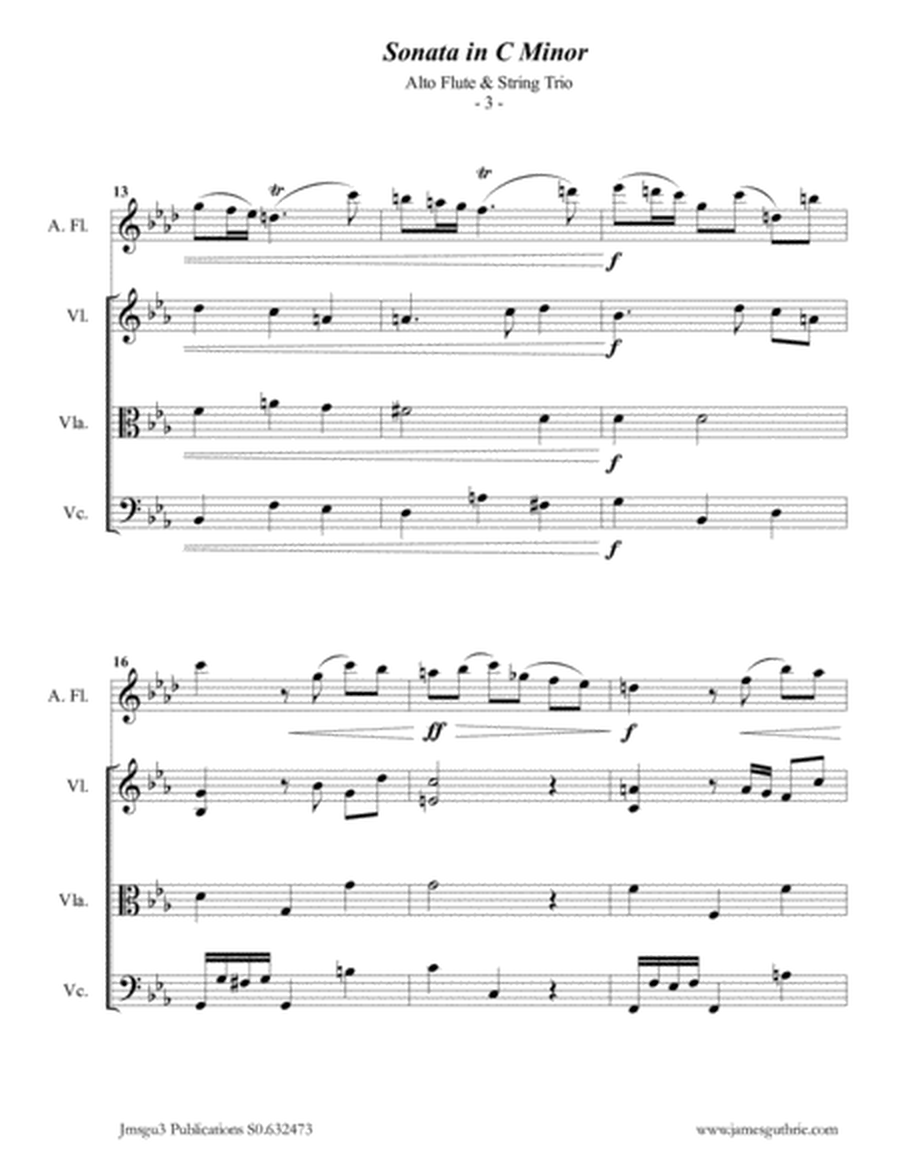 Telemann: Sonata in C Minor for Alto Flute & String Trio image number null