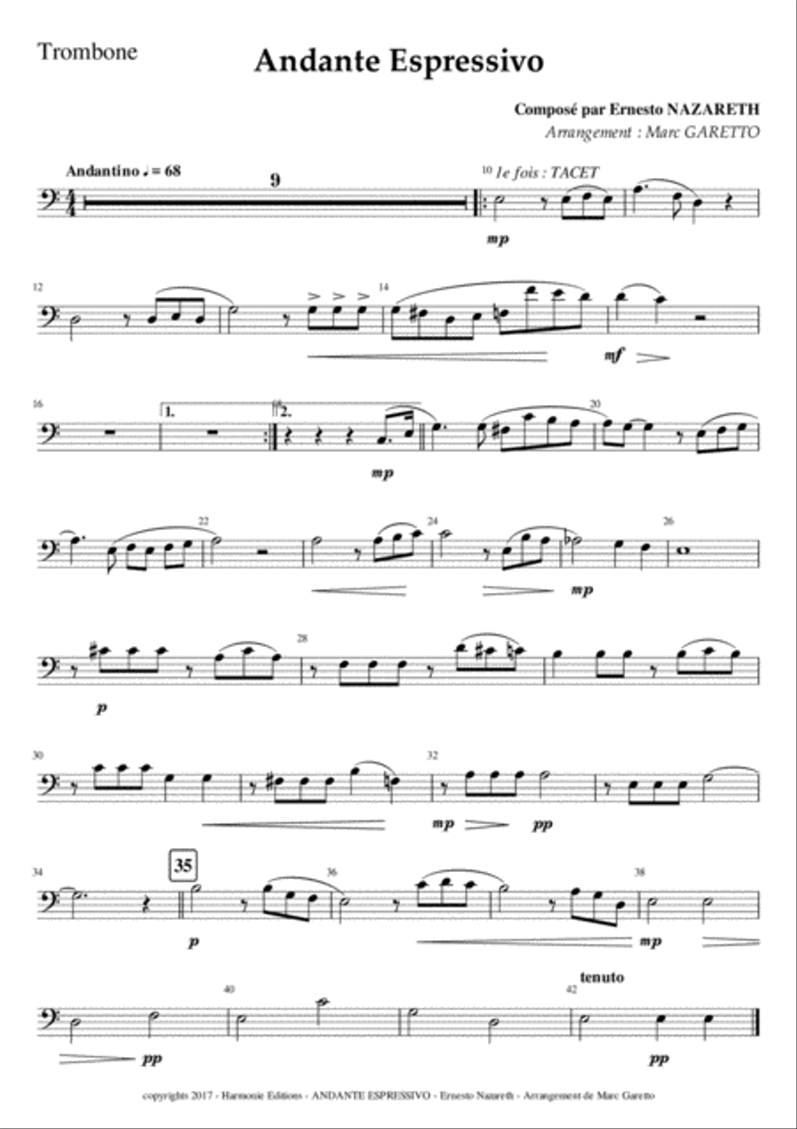 Andante Espressivo - Ernesto NAZARETH - for Chamber Orchestra Chamber Orchestra scores gallery preview page 5