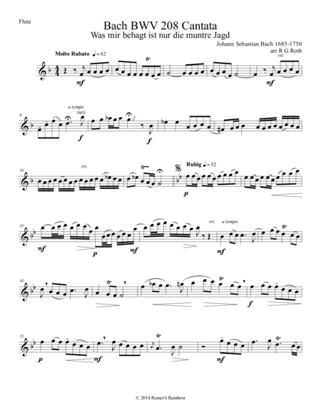 Bach BWV 208 Aria May Sheep Safely Graze Flute or Alto Flute Solo