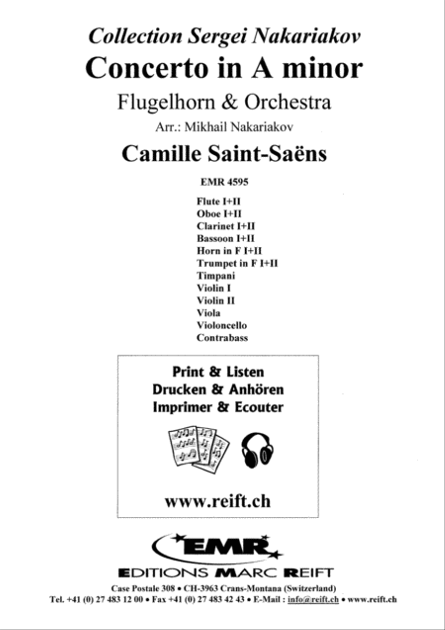 Concerto in A minor Orchestra scores gallery preview page 2