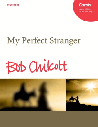 Book cover for My Perfect Stranger