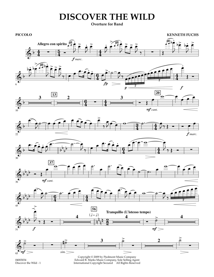 Discover The Wild - Piccolo Concert Band scores gallery preview page 1