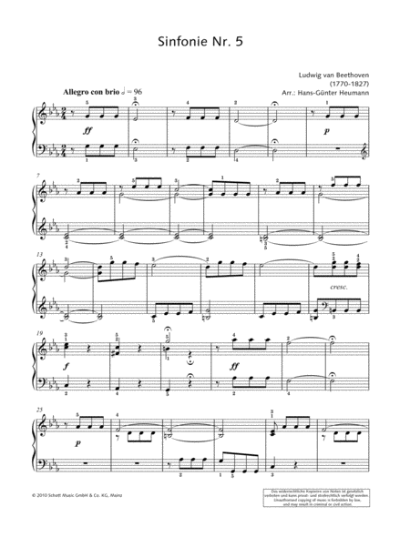 Symphony No. 5 in C Minor