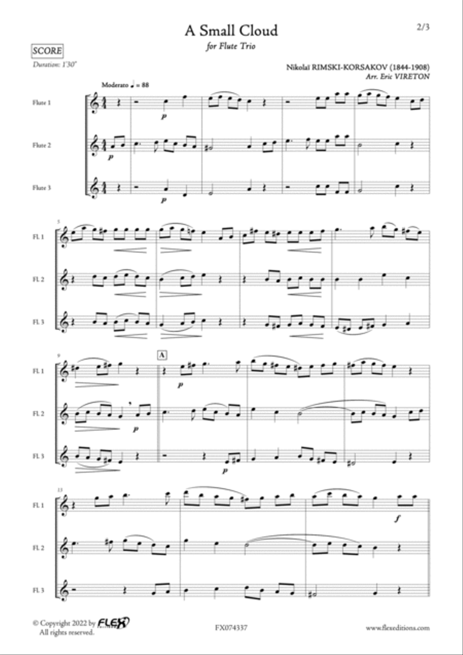 A Small Cloud Flute Trio scores gallery preview page 2