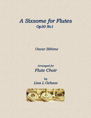 Book cover for A Sixsome for Flutes Op30 No1 for Flute Choir