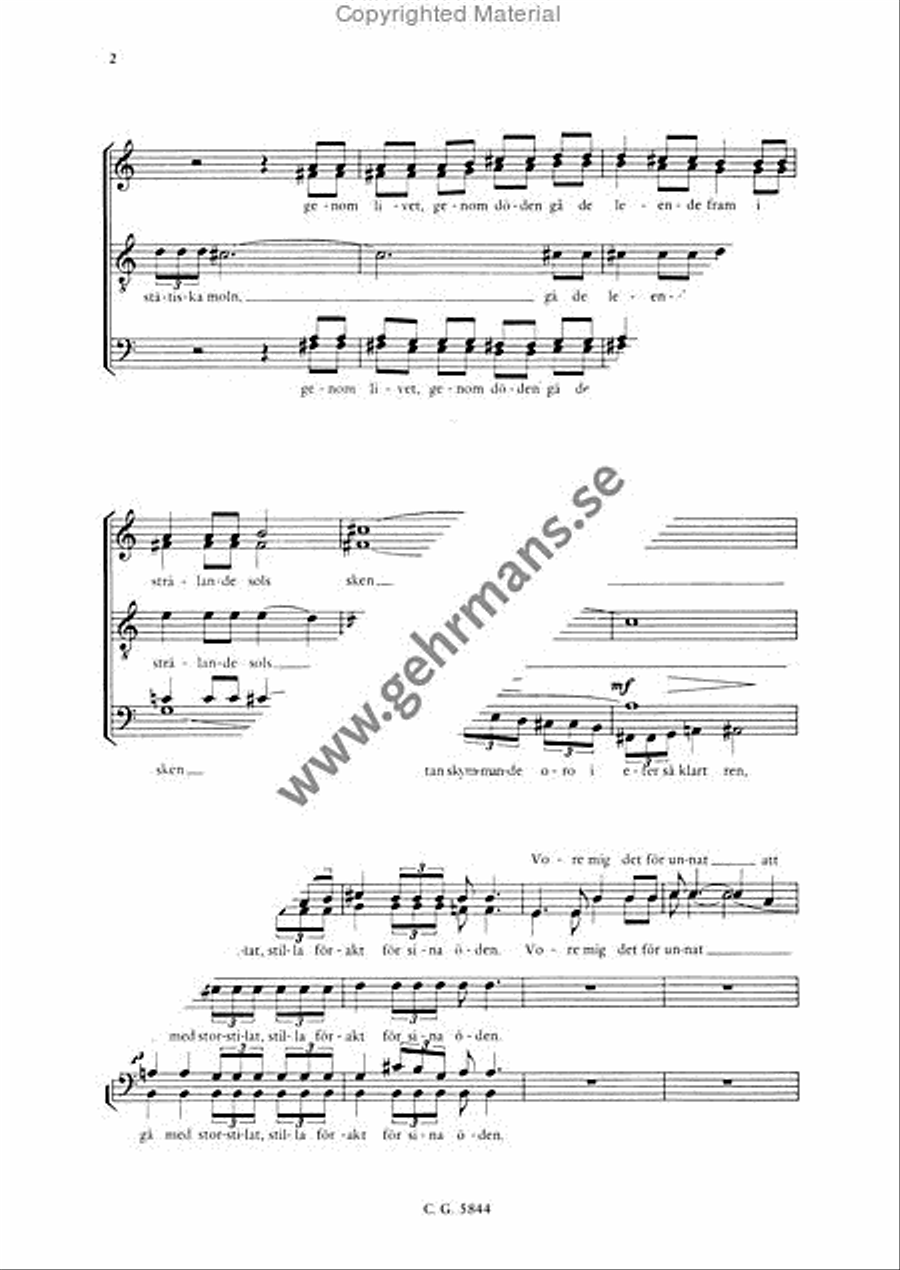 Moln Divisi scores gallery preview page 3