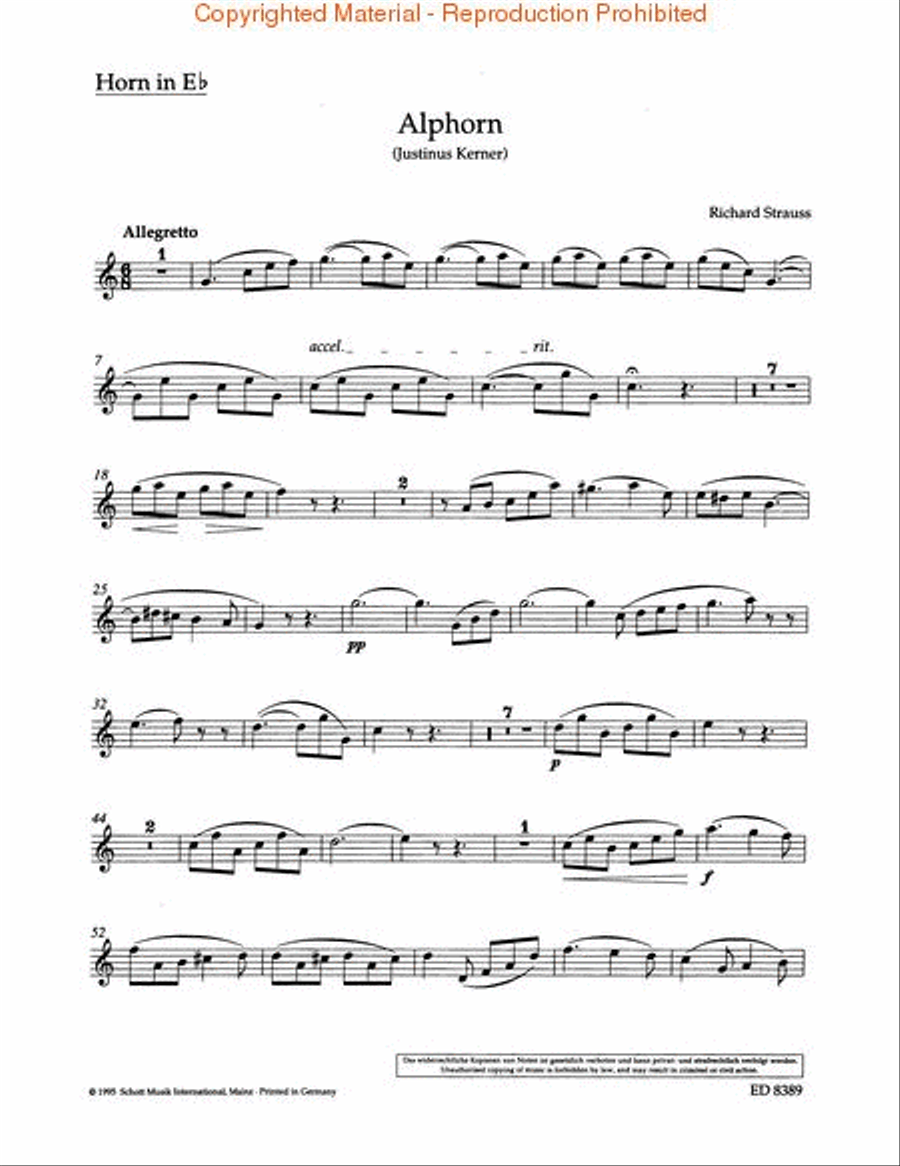 Alpine horn music sale