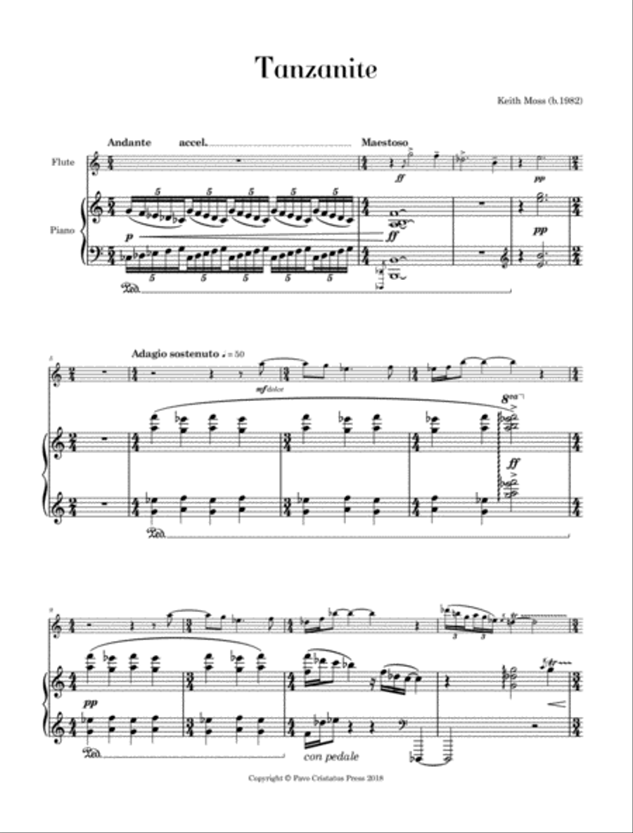 Tanzanite - for flute and piano Flute Solo scores gallery preview page 3