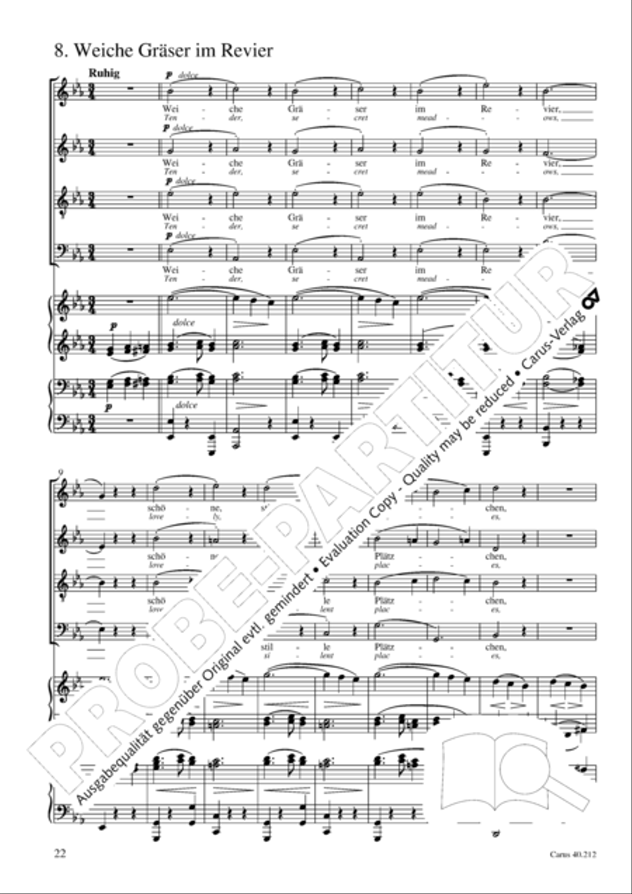 Neue Liebeslieder-Walzer, Op. 65 Choir scores gallery preview page 23