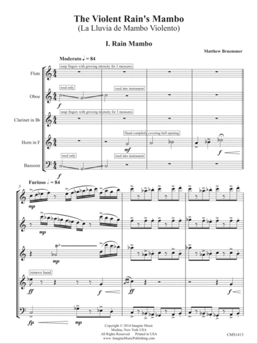 The Violent Rain's Mambo Woodwind Quintet scores gallery preview page 1
