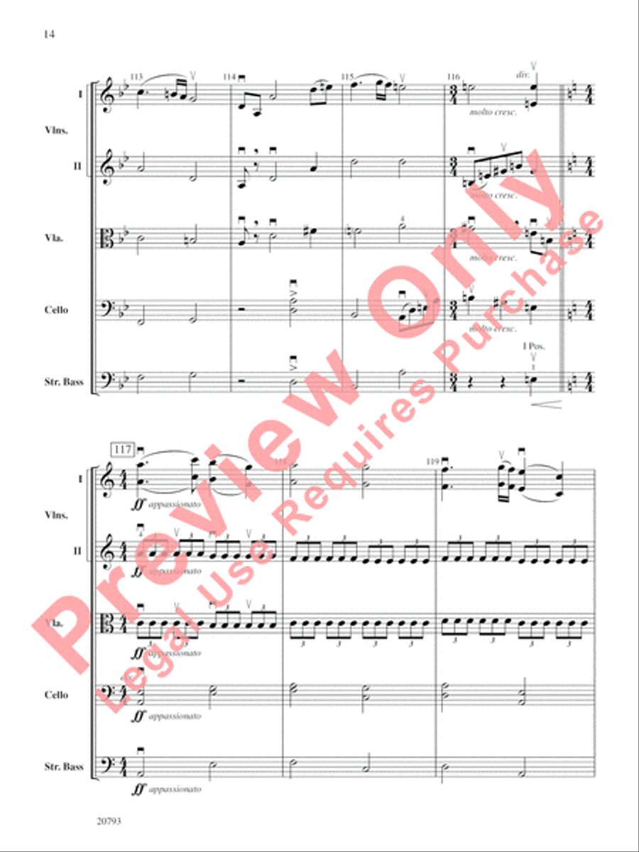 The Idylls of Pegasus String Orchestra scores gallery preview page 15