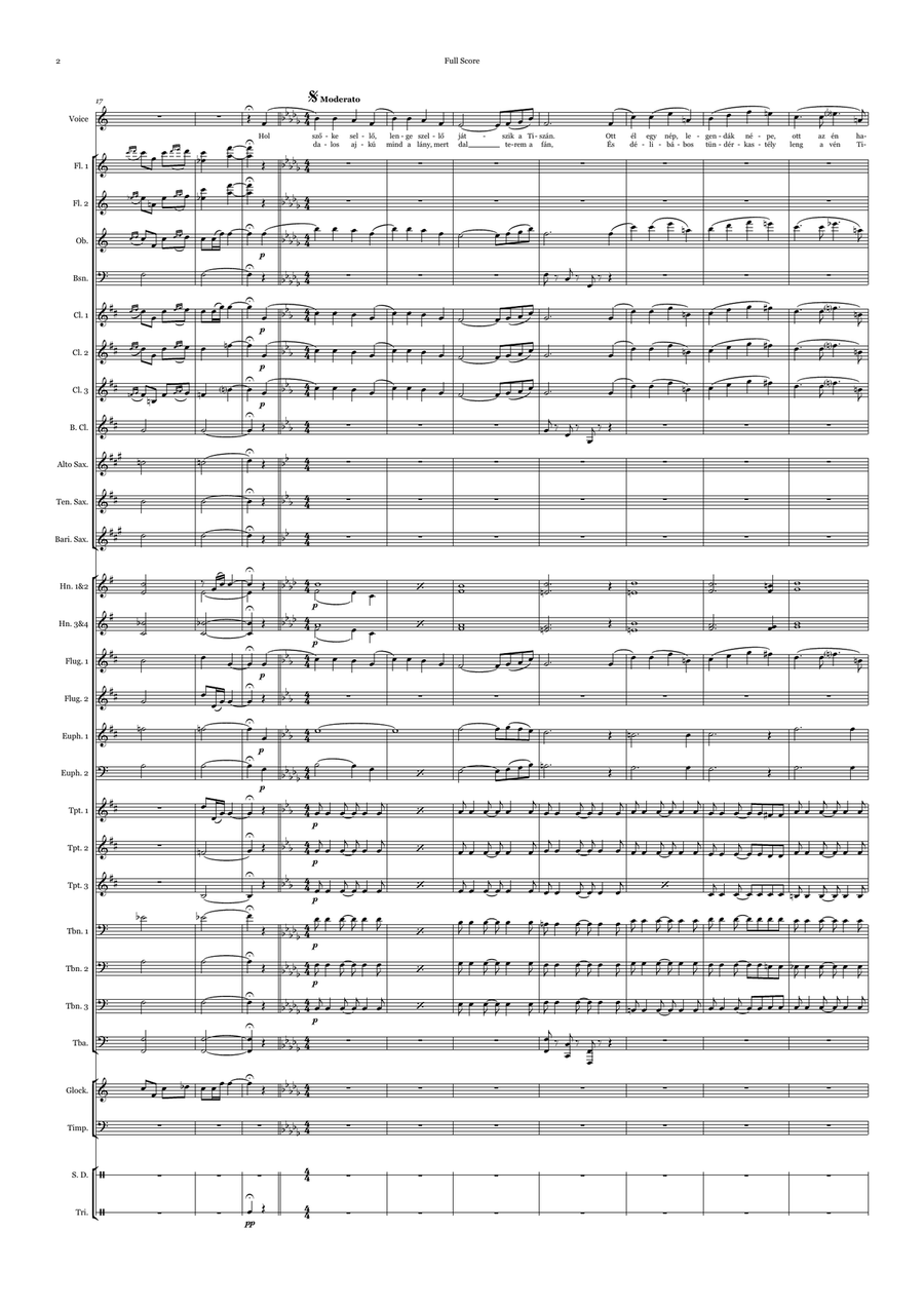 Szép vagy, gyönyörű vagy Magyarország Szép vagy, gyönyörű vagy Magyarország Concert Band scores gallery preview page 4