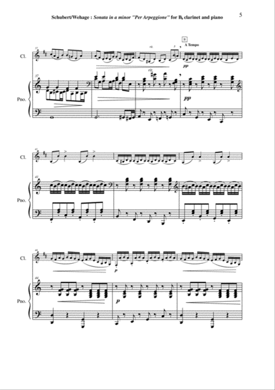 Franz Schubert: Sonata in A minor 