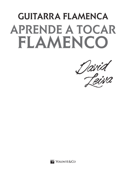 Aprende a Tocar Flamenco