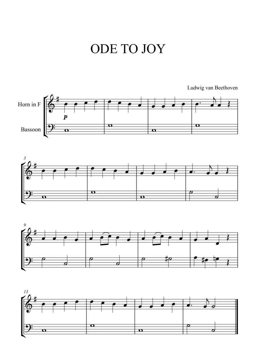 Bassoon horn deals