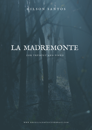 Book cover for LA MADREMONTE