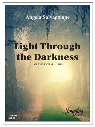 Book cover for Light Through the Darkness