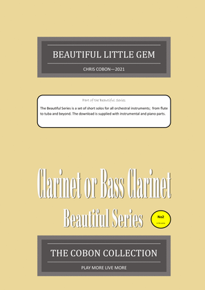 Book cover for No.2 Beautiful Little Gem for Clarinet or Bass Clarinet