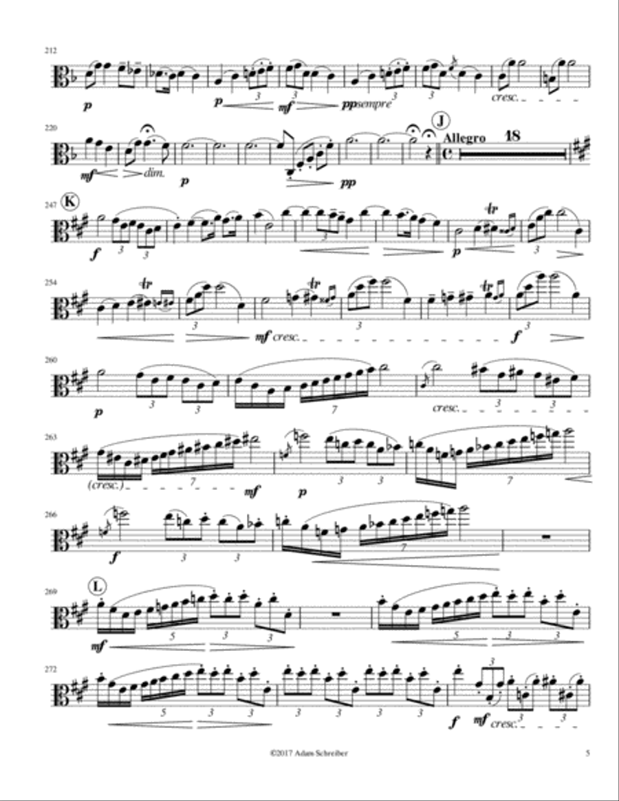 Viola Concerto in A major, Op 60. Neruda Piano scores gallery preview page 5