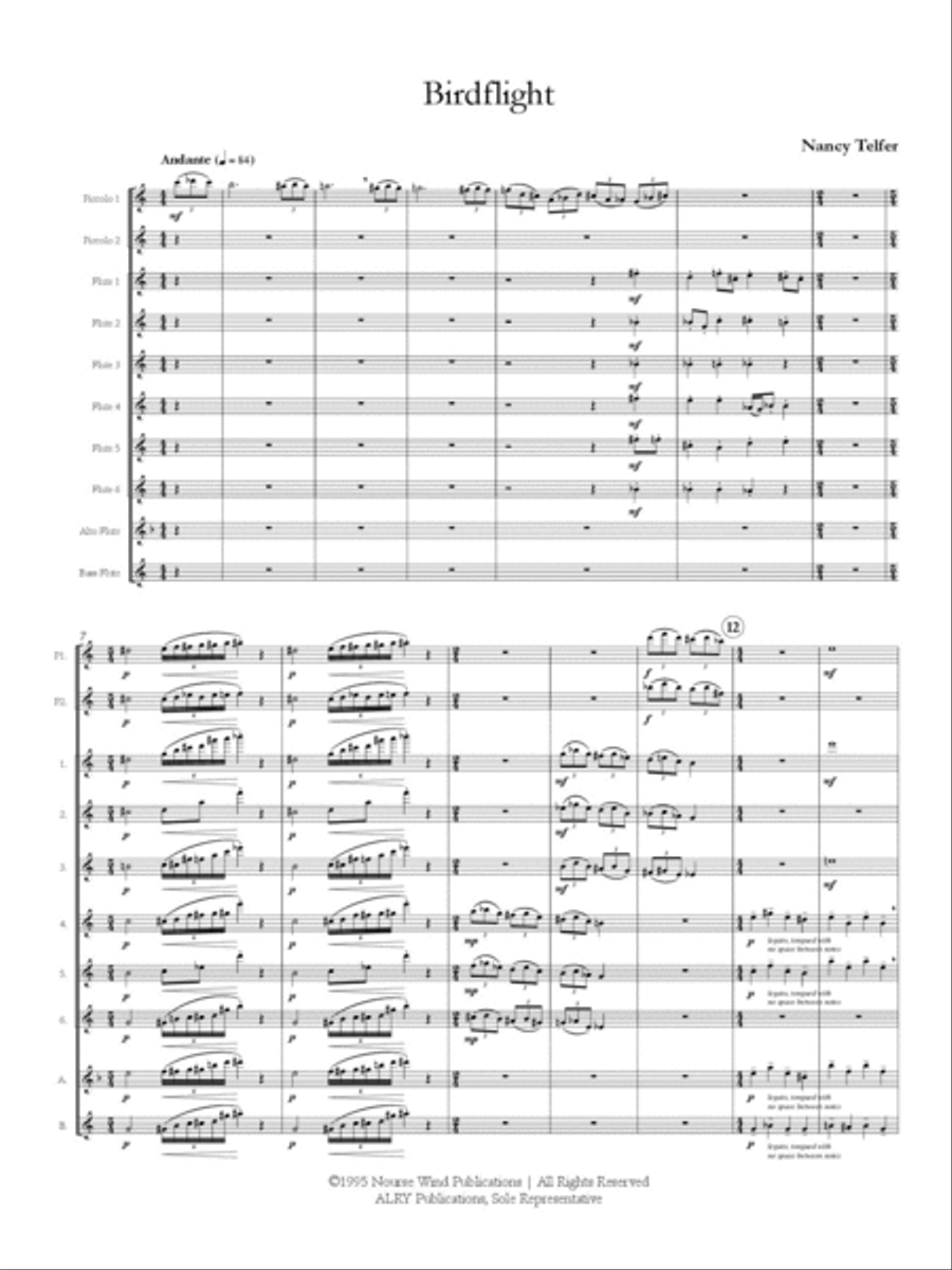 Birdflight for Flute Choir Flute Choir scores gallery preview page 2