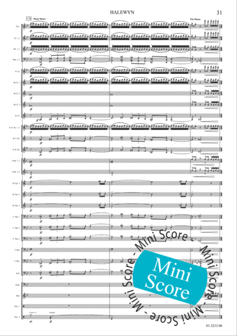 Halewijn Concert Band scores gallery preview page 37