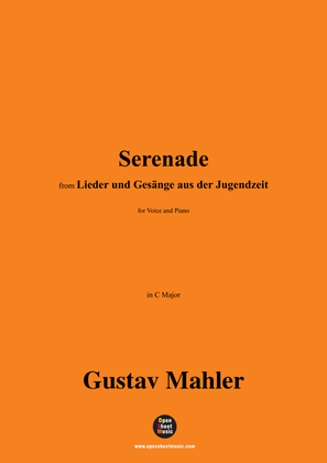 Book cover for G. Mahler-Serenade,in C Major