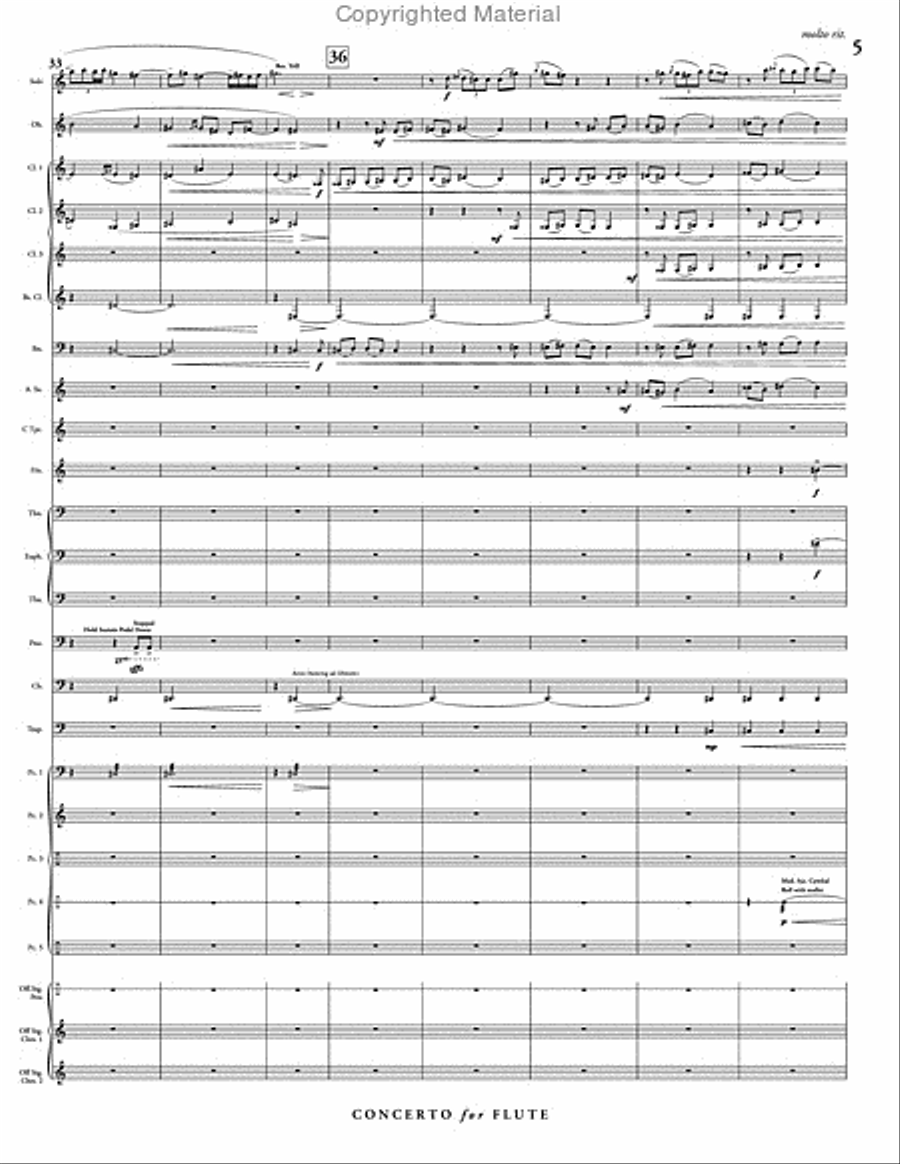Concerto for Flute & Wind Ensemble Concert Band scores gallery preview page 6