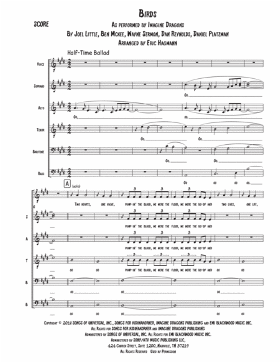 Birds Divisi scores gallery preview page 1