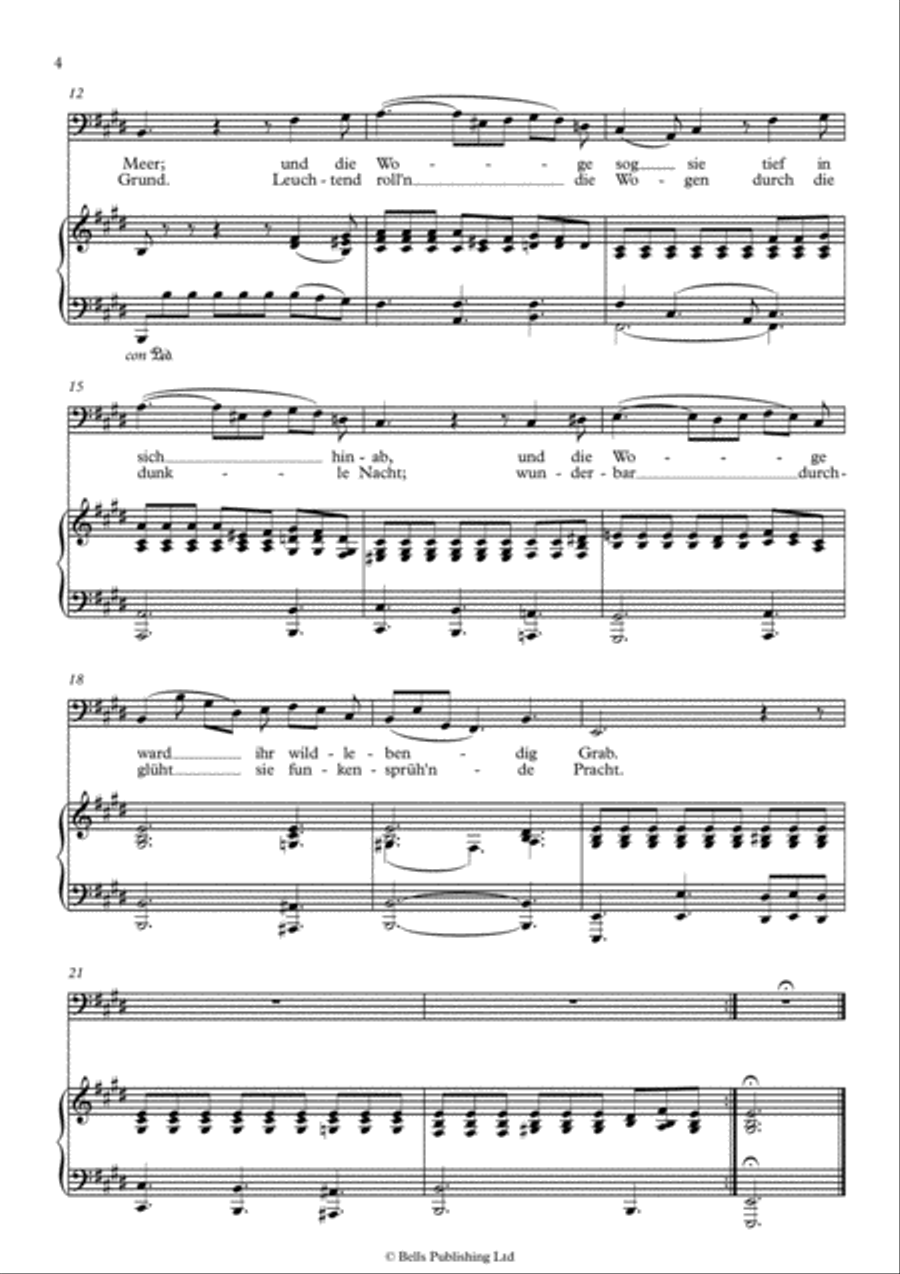 Liederkranz fur die Bassstimme, Op. 145 Voice Solo scores gallery preview page 4
