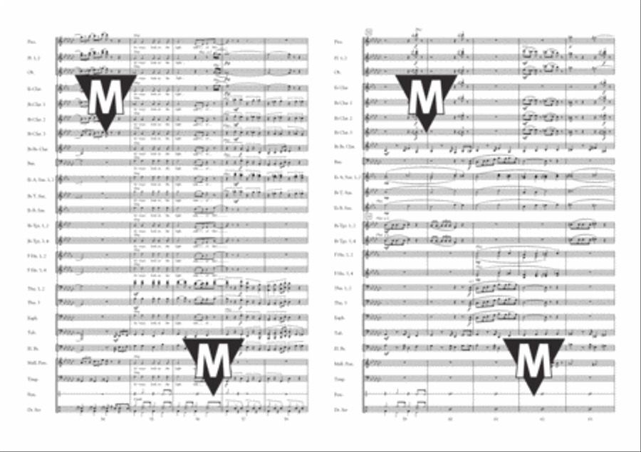Always Look on The Bright Side of Life Concert Band scores gallery preview page 7