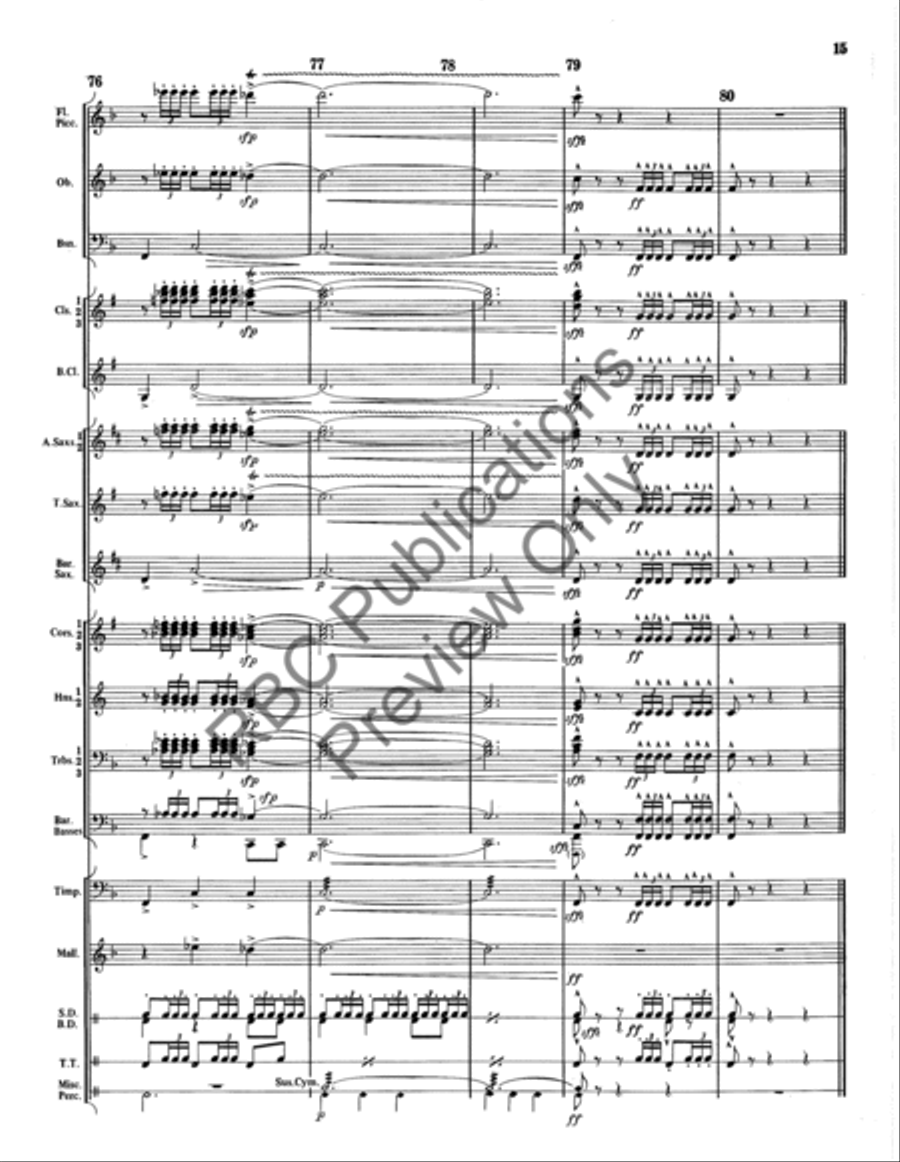 Danza Tambor Bolero Concert Band scores gallery preview page 16