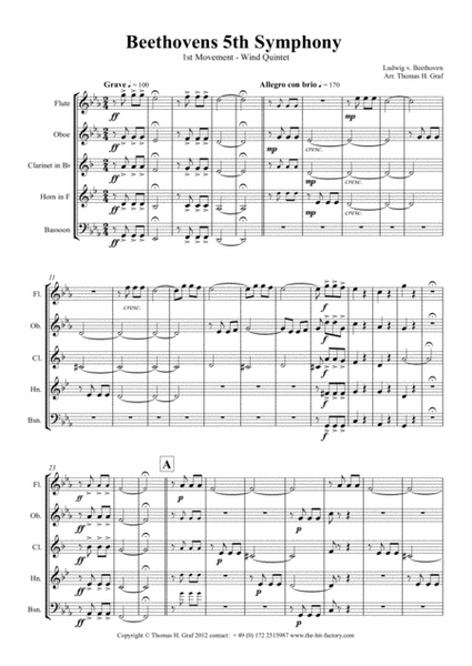 Beethovens 5th Symphony - 1st Movement - Wind Quintet