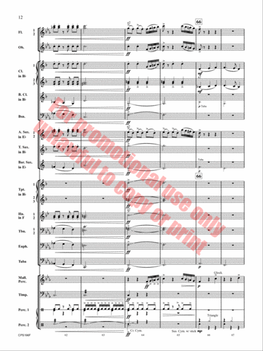 If I Could Fly Concert Band scores gallery preview page 13