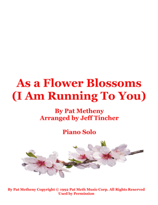 Book cover for As A Flower Blossoms