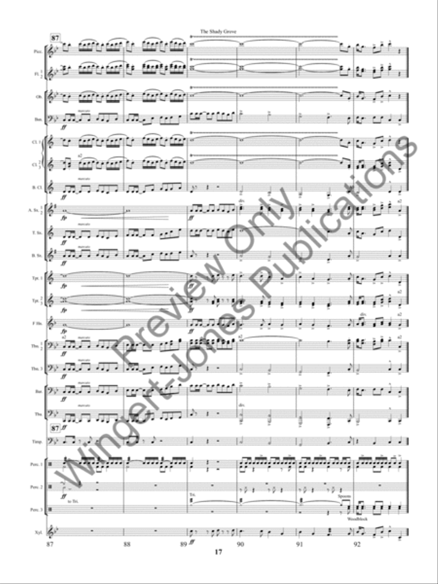 The Shady Grove The Shady Grove Concert Band scores gallery preview page 20