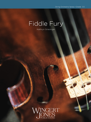 Book cover for Fiddle Fury