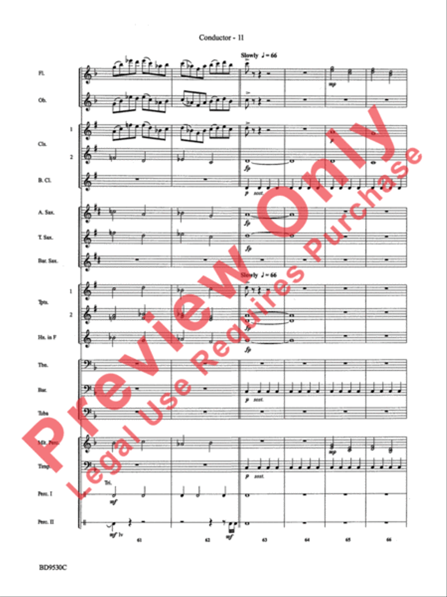 Shaker Variants Concert Band scores gallery preview page 14