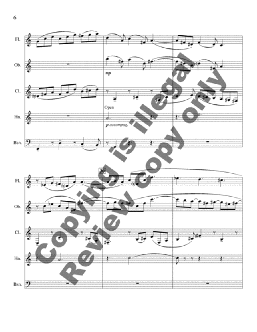 Picnic Music Woodwind Quintet scores gallery preview page 6