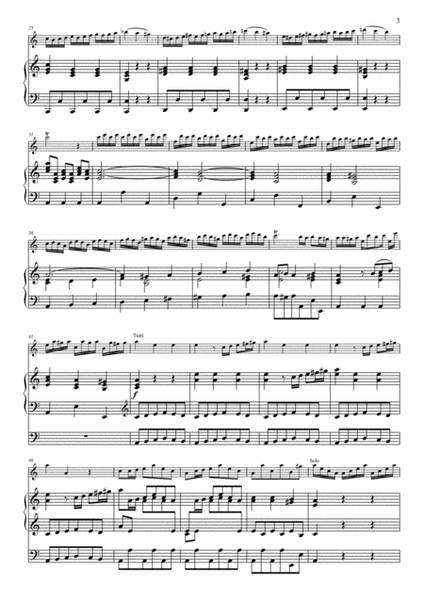 Concerto in C Major by Antonio Vivaldi for piccolo and organ