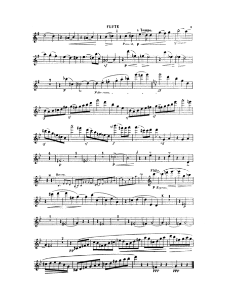 Woodwind Quintet: Flute