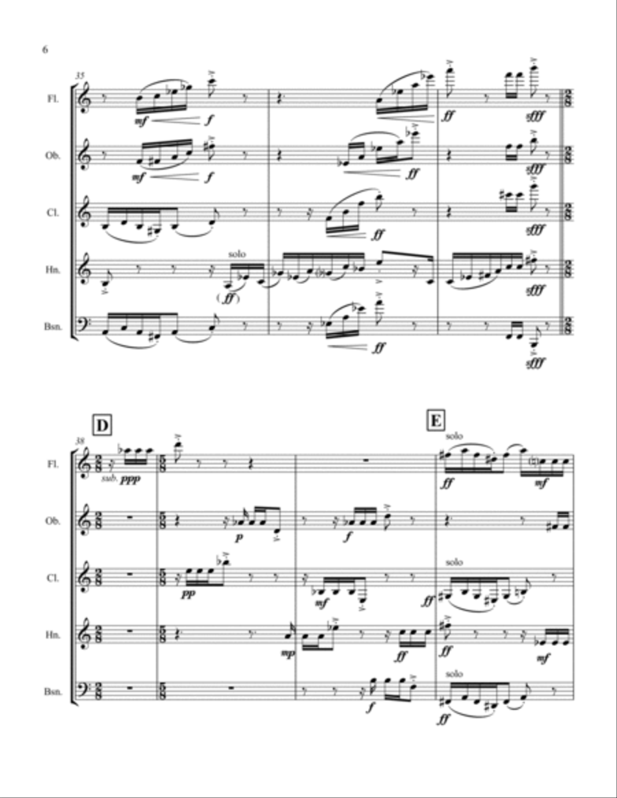 Divertimento for Woodwind Quintet Woodwind Quintet scores gallery preview page 6