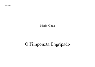 O Pimponeta engripado - music for ensemble about a children theme.