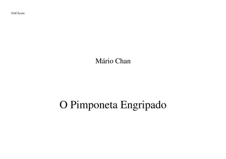 O Pimponeta engripado - music for ensemble about a children theme. image number null
