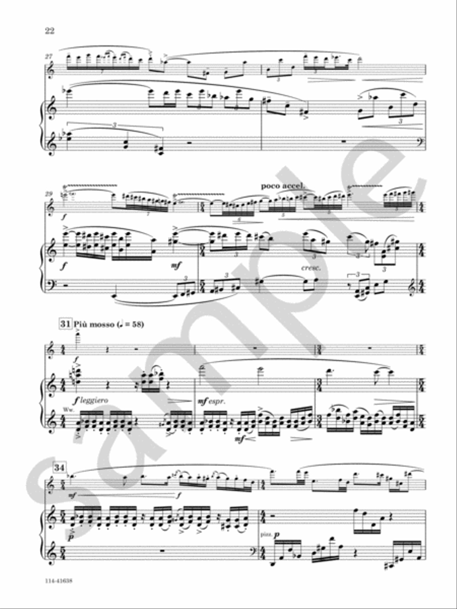 Concerto For Flute And Orchestra Chamber Music scores gallery preview page 9