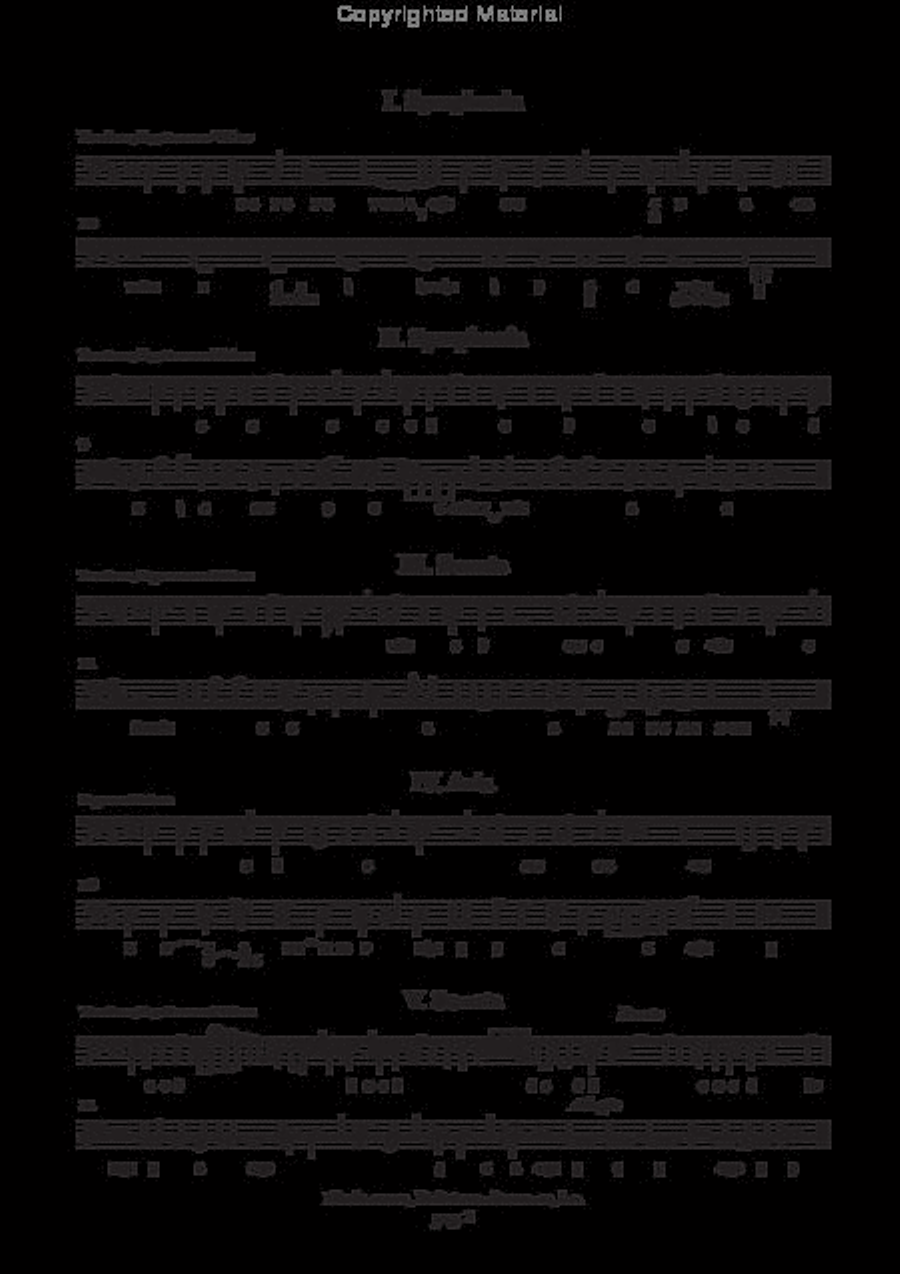 Deliciae studiosorum (Dritter Theil) (Nurnberg, 1643) Basso Continuo scores gallery preview page 4