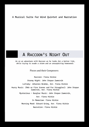 Book cover for A Raccoon's Night Out