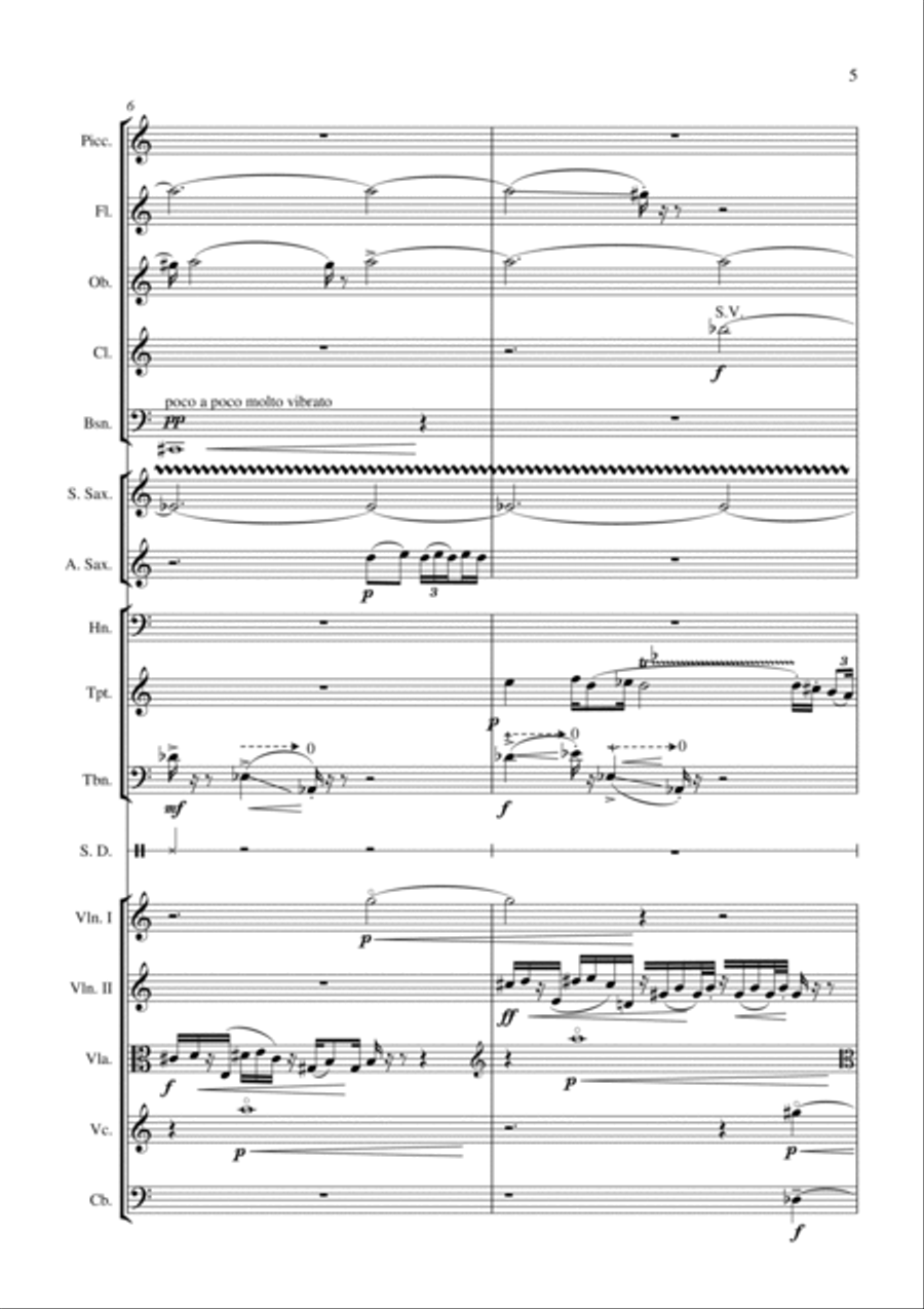 The Phase Bug for chamber orchestra Chamber Orchestra scores gallery preview page 5