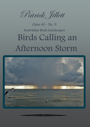 Birds Calling an Afternoon Storm - Australian Bush Landscapes