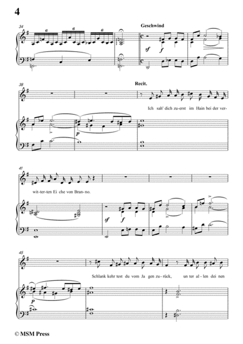 Schubert-Shilrik und Vinvela,in G Major,for Voice&Piano image number null