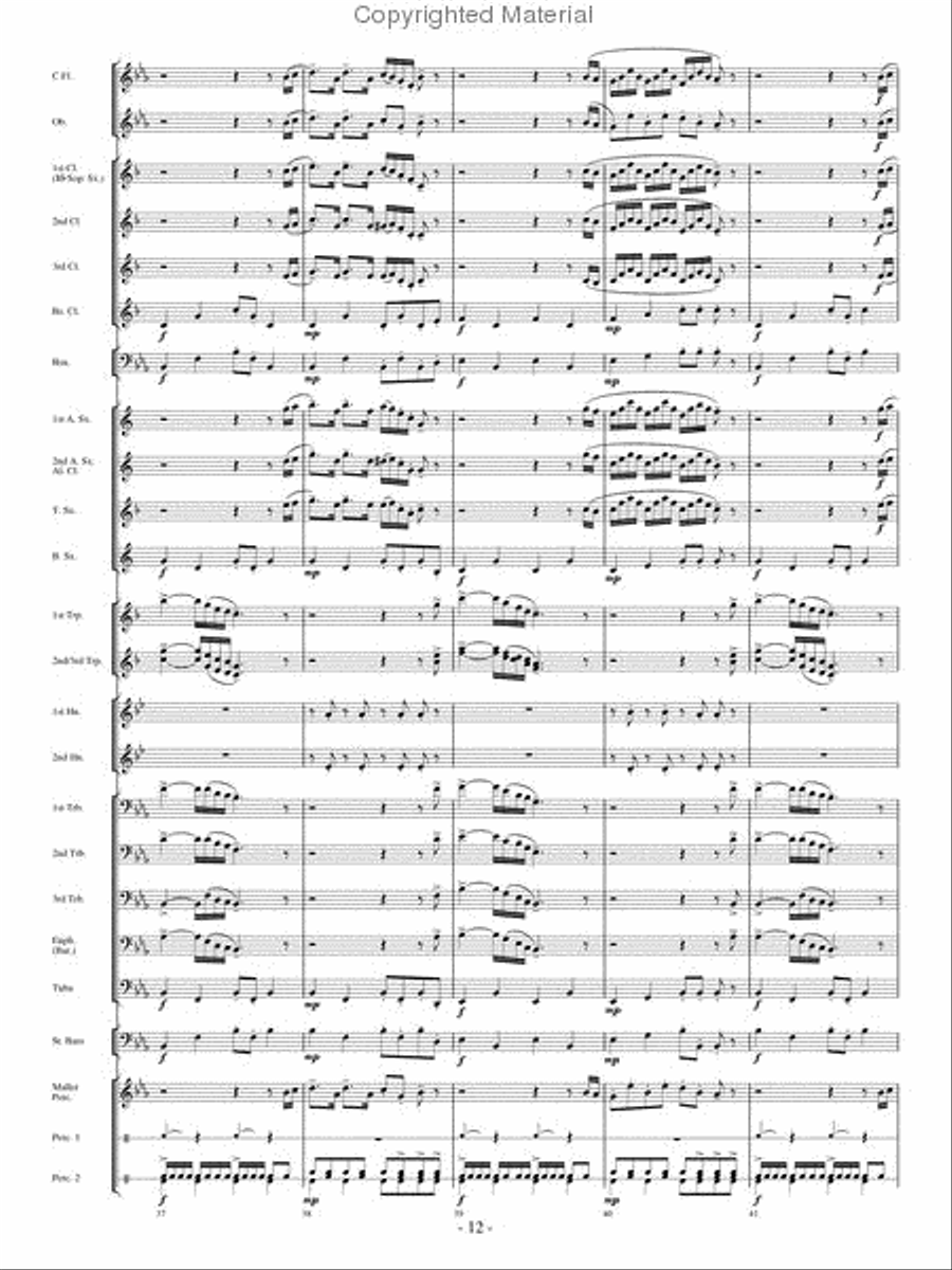 The Woodwind Polka Concert Band scores gallery preview page 11